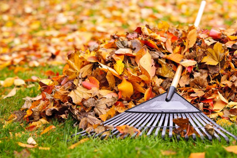Autumn Yard Maintenance