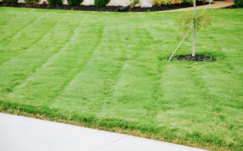 Lawn with Edging