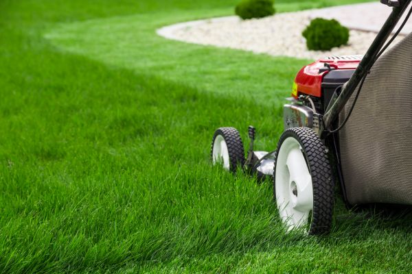 Grass Cutting Service in Battle Ground