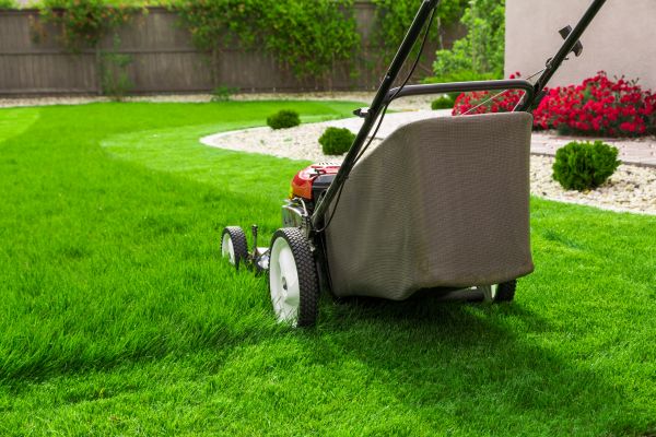 Home Yard Maintenance in Battle Ground