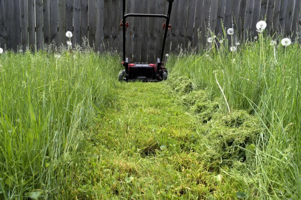 High Grass Mowing in Battle Ground