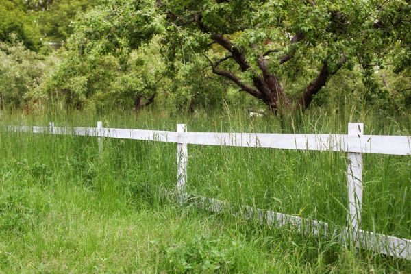 Cost of Fence Line Trimming in Battle Ground