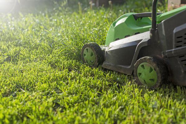 Cost of Lot Mowing in Battle Ground