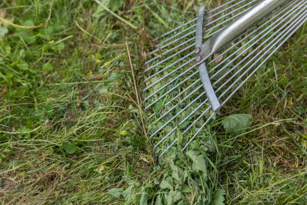 Thatch Raking in Battle Ground