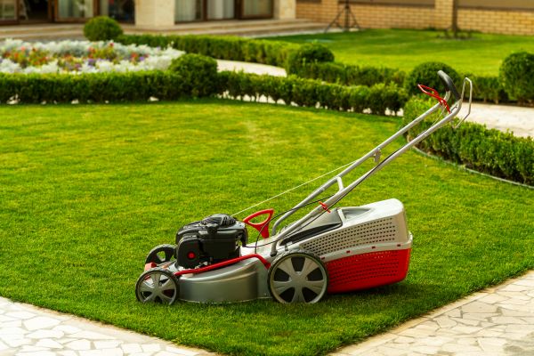 Business Grass Cutting in Battle Ground