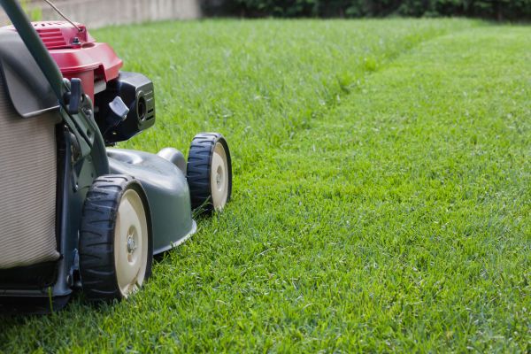 Spring Lawn Maintenance in Battle Ground