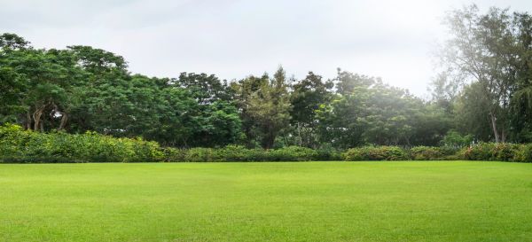 Golf Course Mowing in Battle Ground